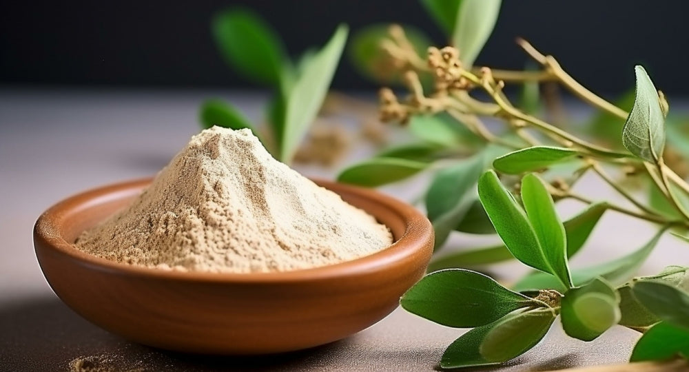 The Benefits of Ashwagandha