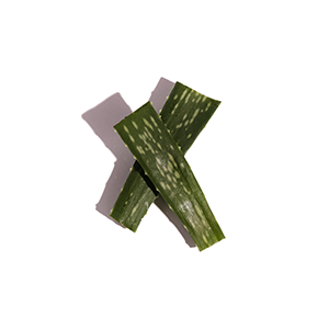 Aloe Vera Ingredient Thumbnail